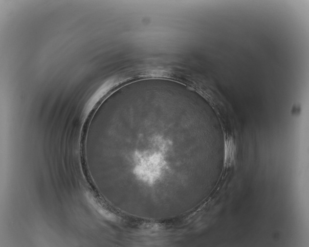 X0000112820195200908281539