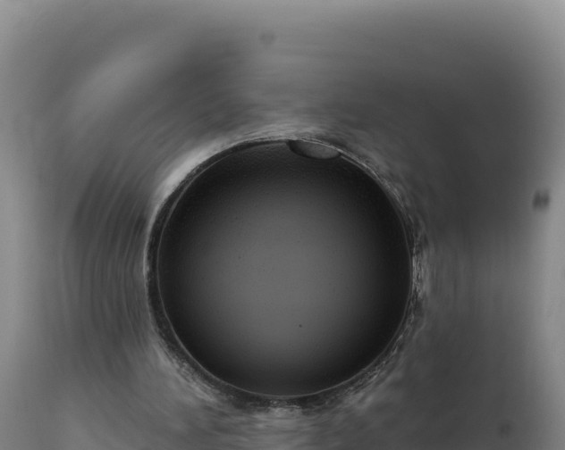 X0000112820196200908281539