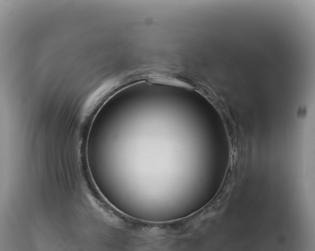 X0000112820197200908281538