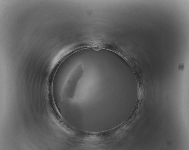 X0000112820198200908281538