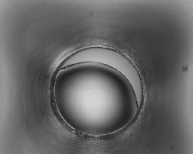 X0000112820199200908281538