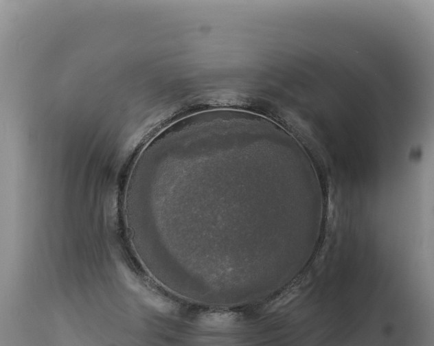 X0000112820202200908281538