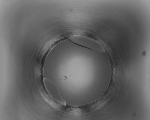 X0000112820203200908281538