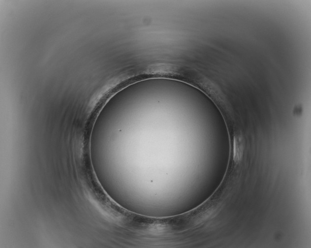 X0000112820204200908281538