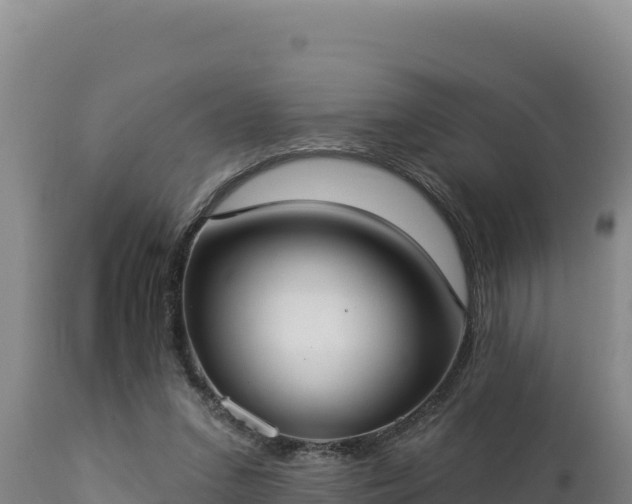 X0000112820207200908281538