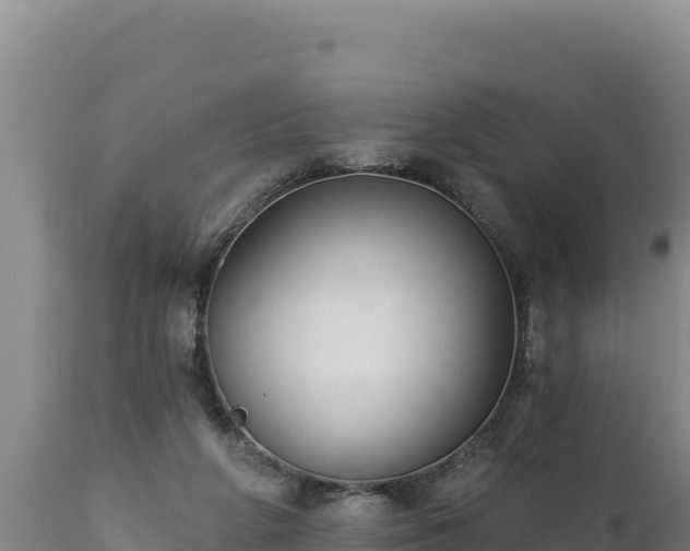 X0000112820210200908281538