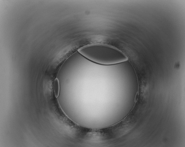 X0000112820211200908281538