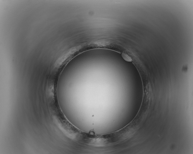 X0000112820212200908281538