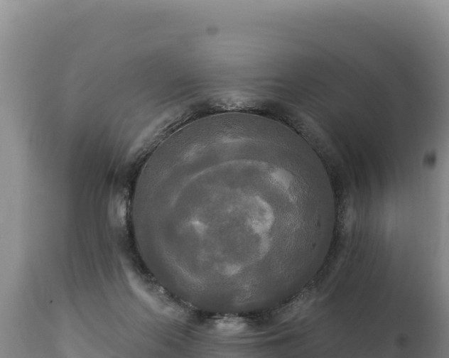 X0000112820214200908281538