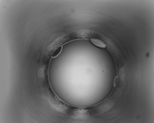 X0000112820217200908281538