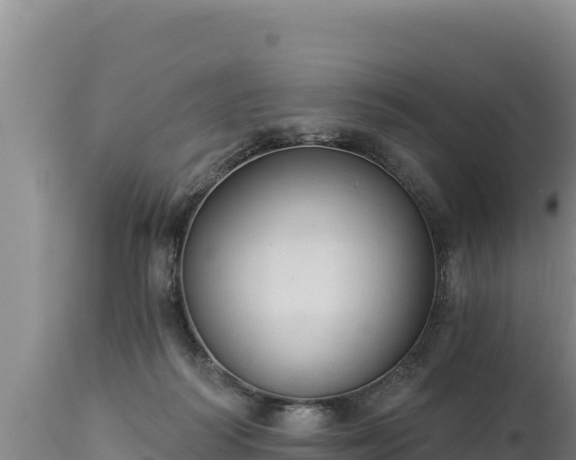 X0000112820218200908281538