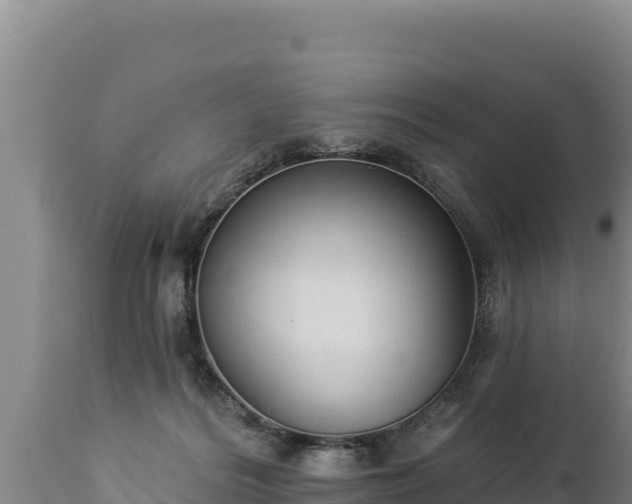 X0000112820220200908281538