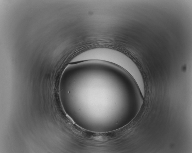 X0000112820221200908281538