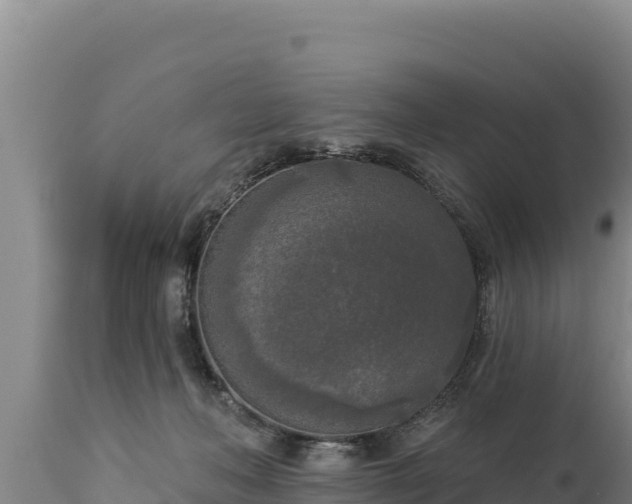 X0000112820222200908281538