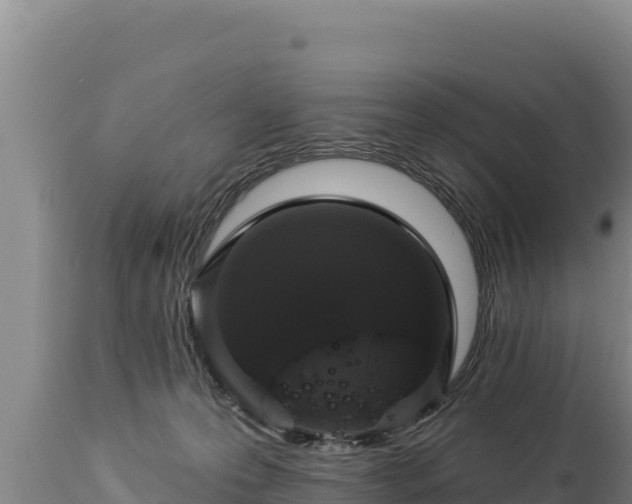 X0000112820223200908281538