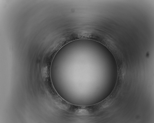 X0000112820224200908281538