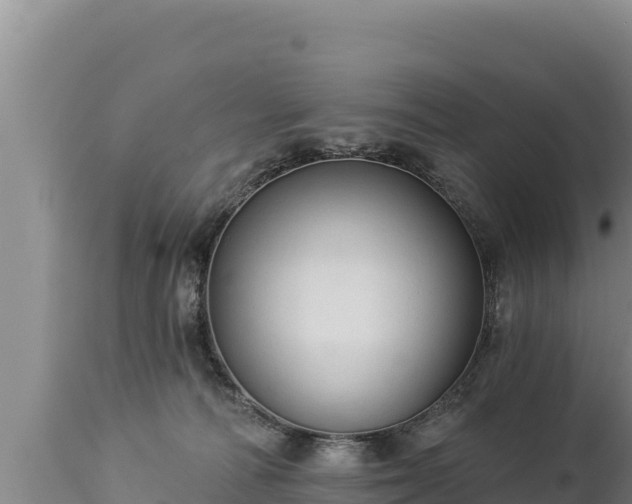 X0000112820226200908281538