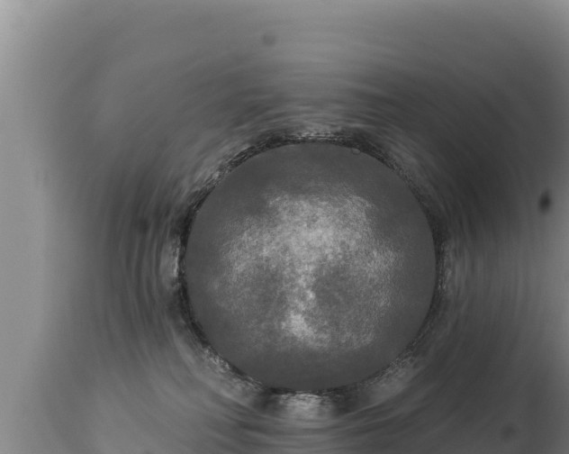 X0000112820230200908281538