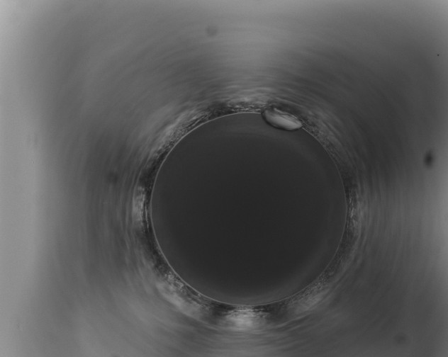 X0000112820231200908281538