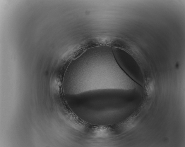 X0000112820235200908281538