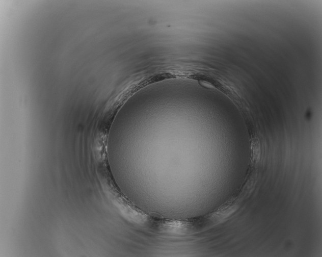 X0000112820237200908281538