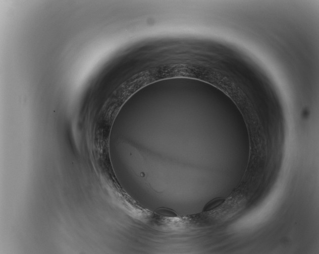 X0000112820239200908281538