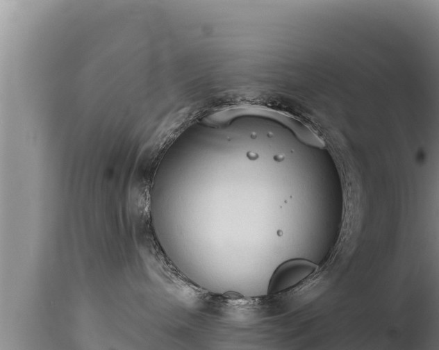 X0000112820240200908281538