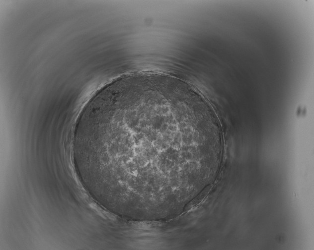 X0000112820241200908281537