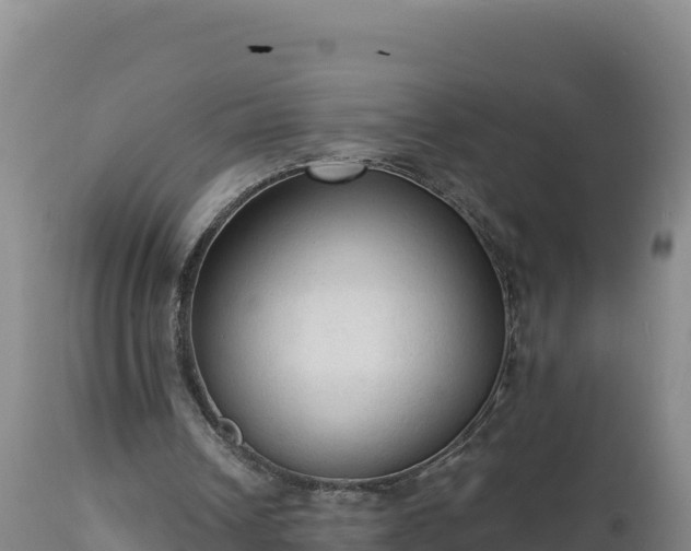 X0000112820242200908281537