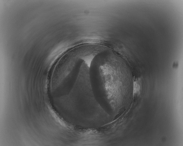 X0000112820243200908281537