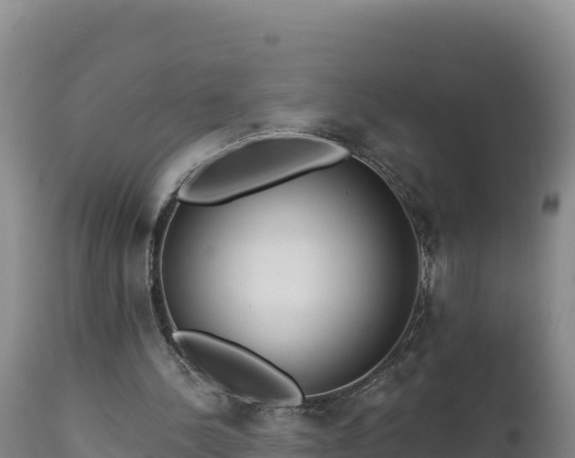 X0000112820244200908281537