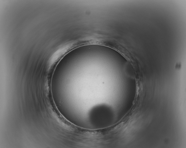 X0000112820245200908281537