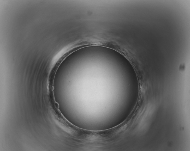 X0000112820246200908281537