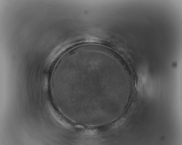 X0000112820247200908281537