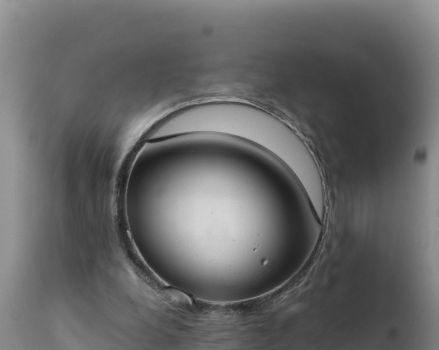 X0000112820248200908281537