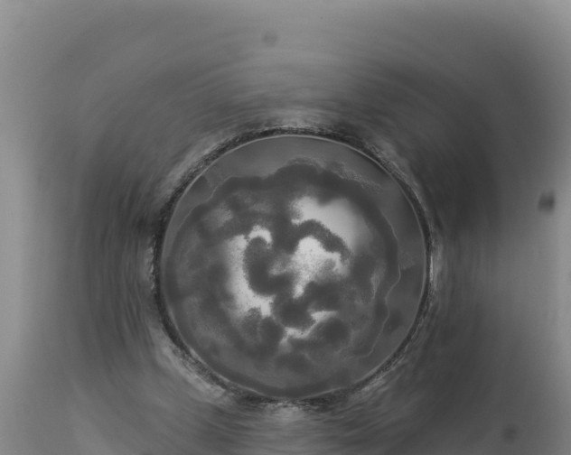 X0000112820249200908281537