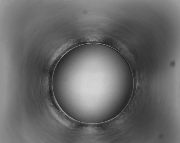 X0000112820250200908281537