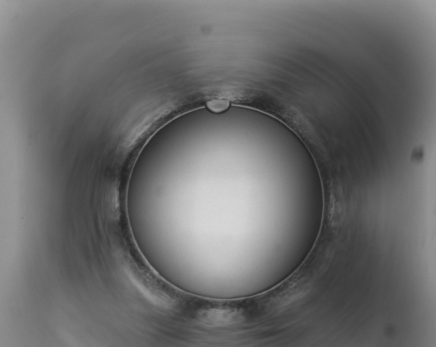 X0000112820251200908281537