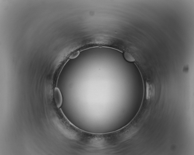 X0000112820252200908281537