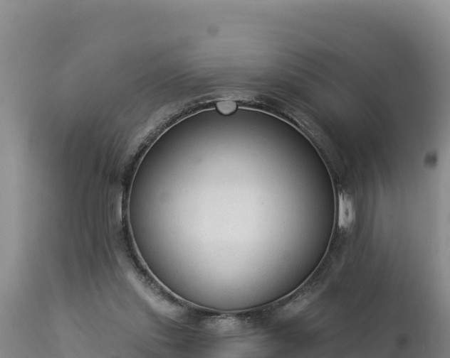 X0000112820253200908281537