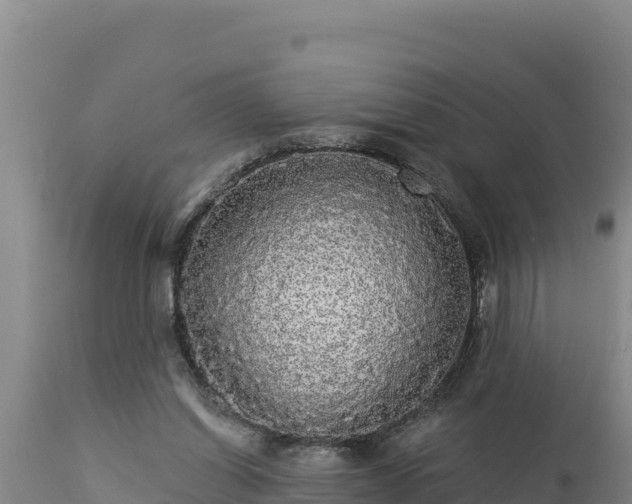 X0000112820254200908281537