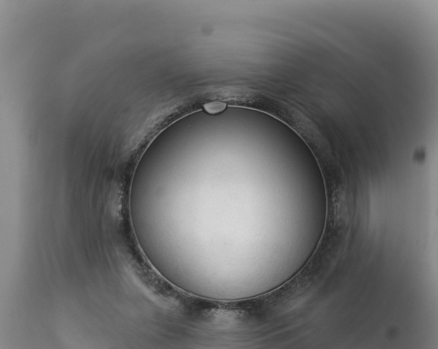 X0000112820255200908281537