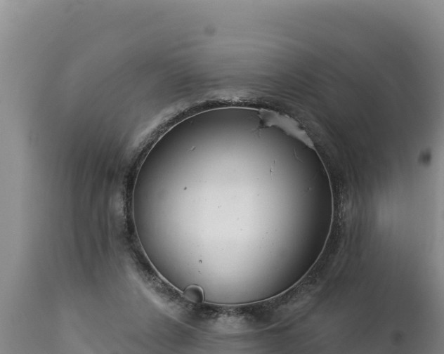 X0000112820256200908281537