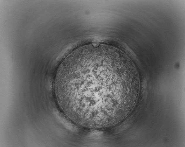 X0000112820257200908281537