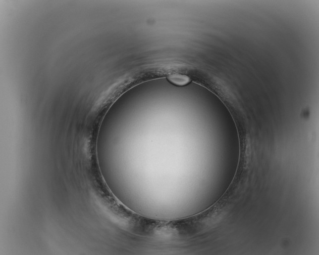 X0000112820258200908281537