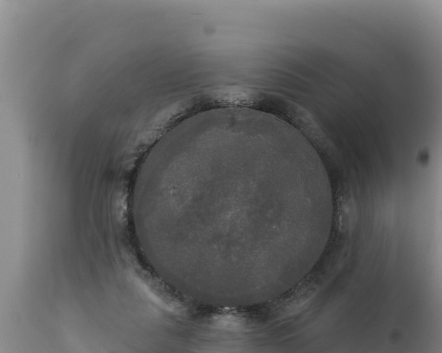 X0000112820259200908281537