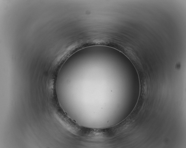 X0000112820260200908281538