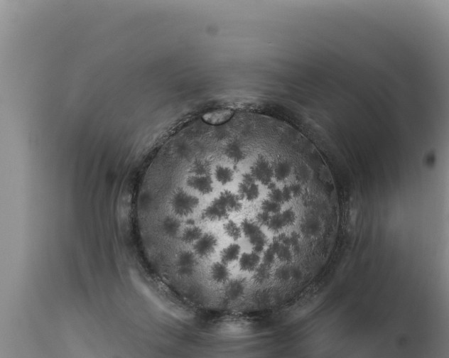 X0000112820263200908281538