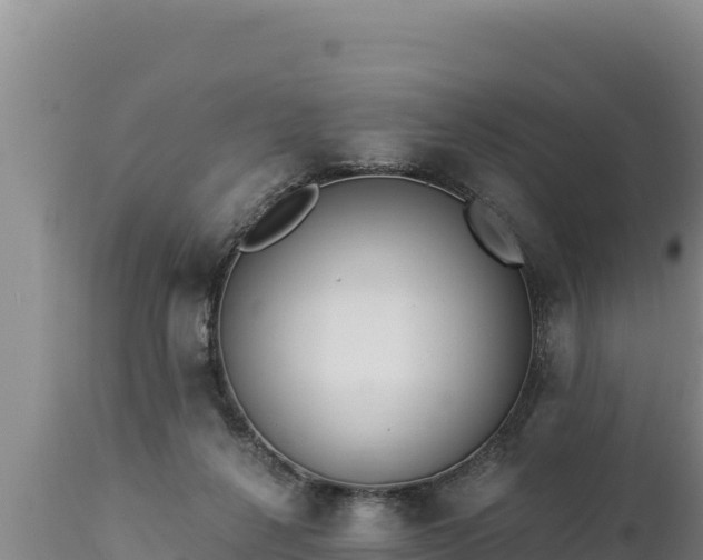 X0000112820264200908281538