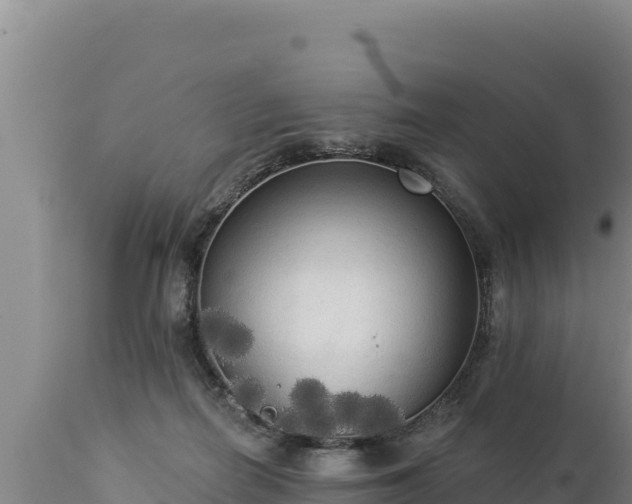 X0000112820266200908281538